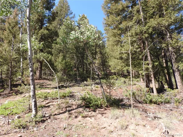 a view of a yard covered with snow