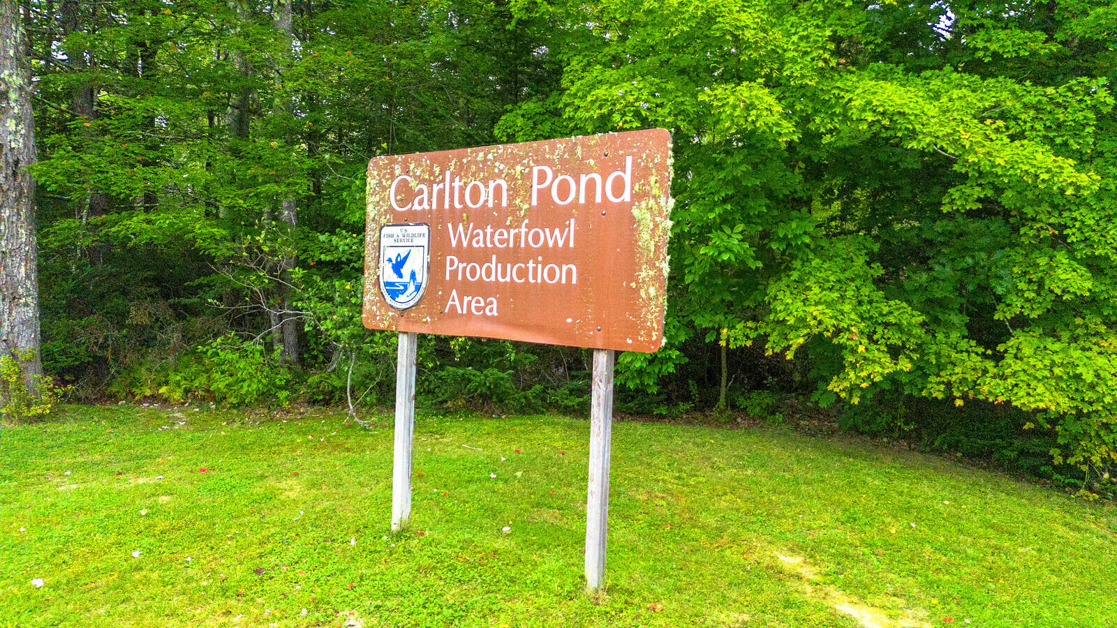693 Detroit Road Troy, ME 04987 - Photo 6 of 26 Love to paddle fish or hunt