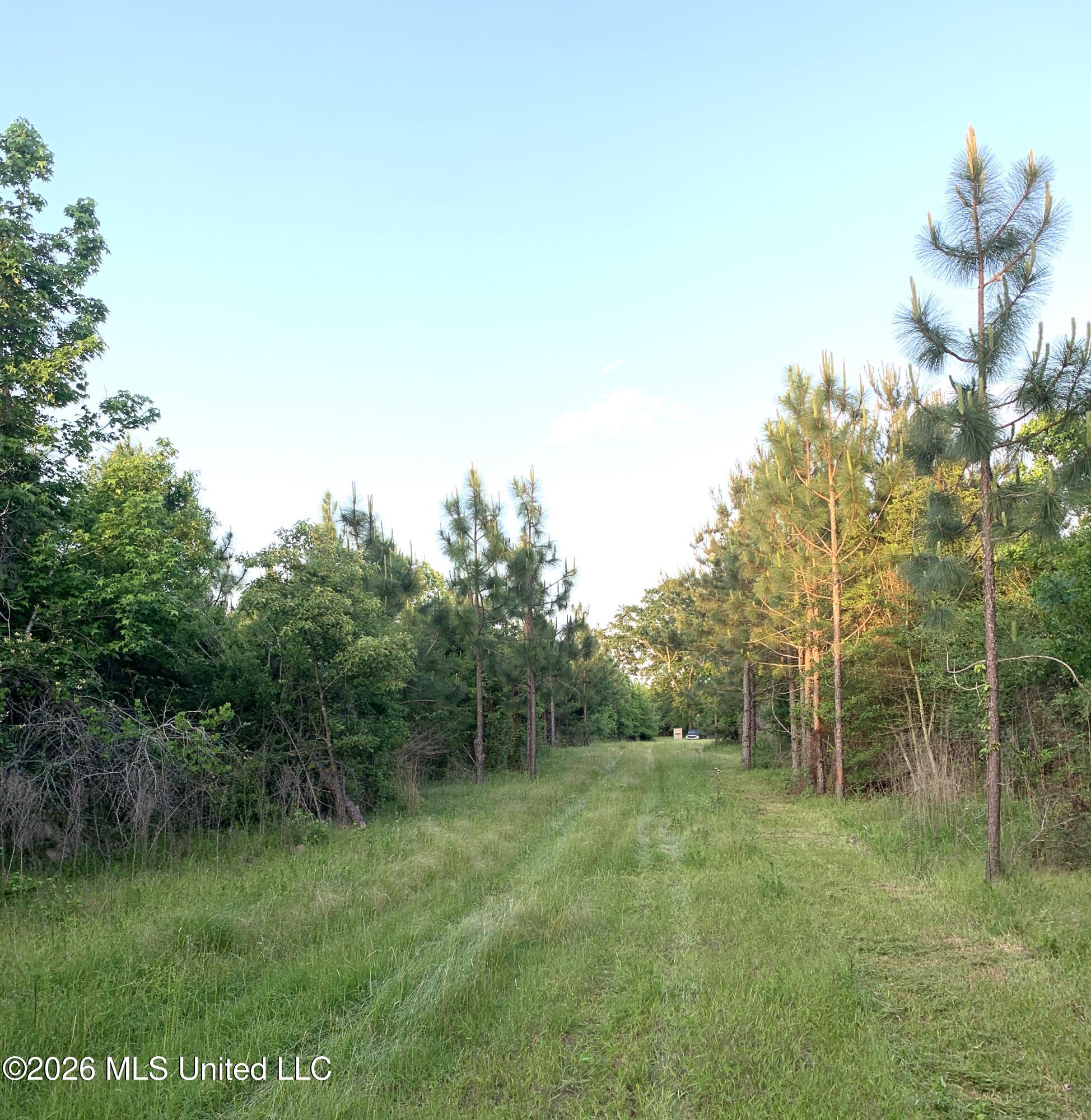 0 Griffin Road Tylertown, MS 39667 - Photo 10 of 15 IMG_7882