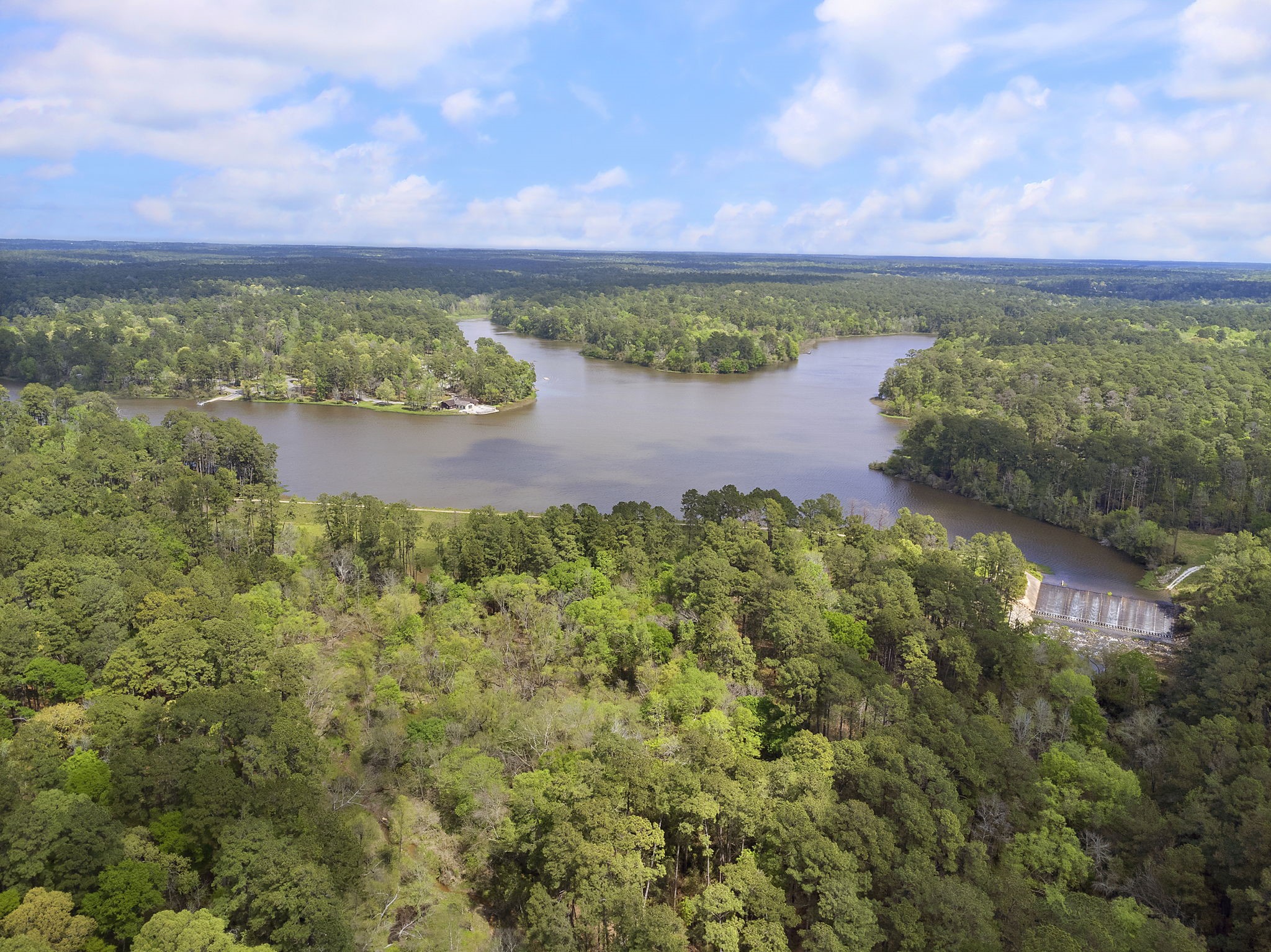 14-15a PROSPERITY Court Huntsville, TX 77340 - Photo 14 of 27 a view of a lake