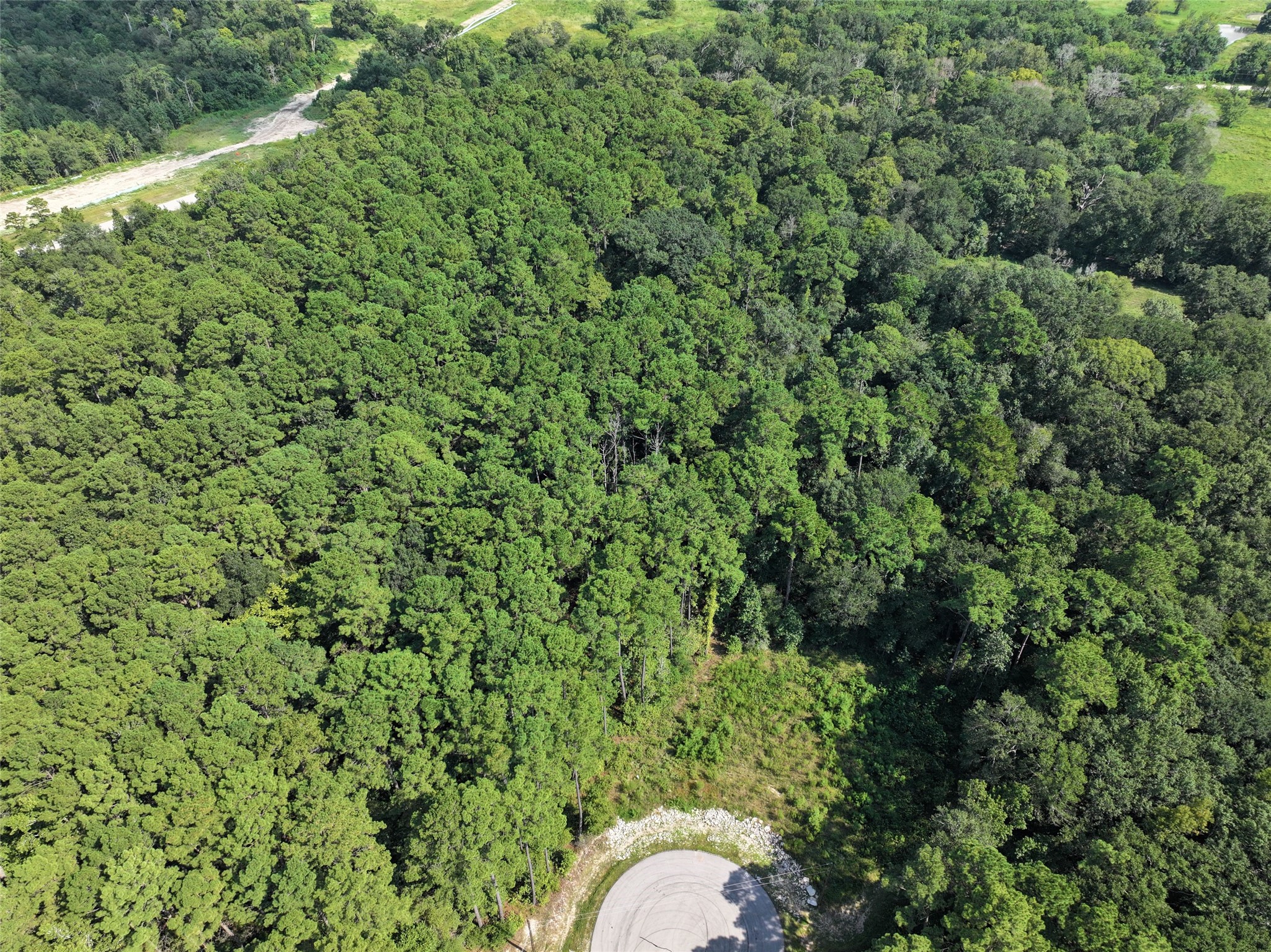 14-15a PROSPERITY Court Huntsville, TX 77340 - Photo 2 of 27