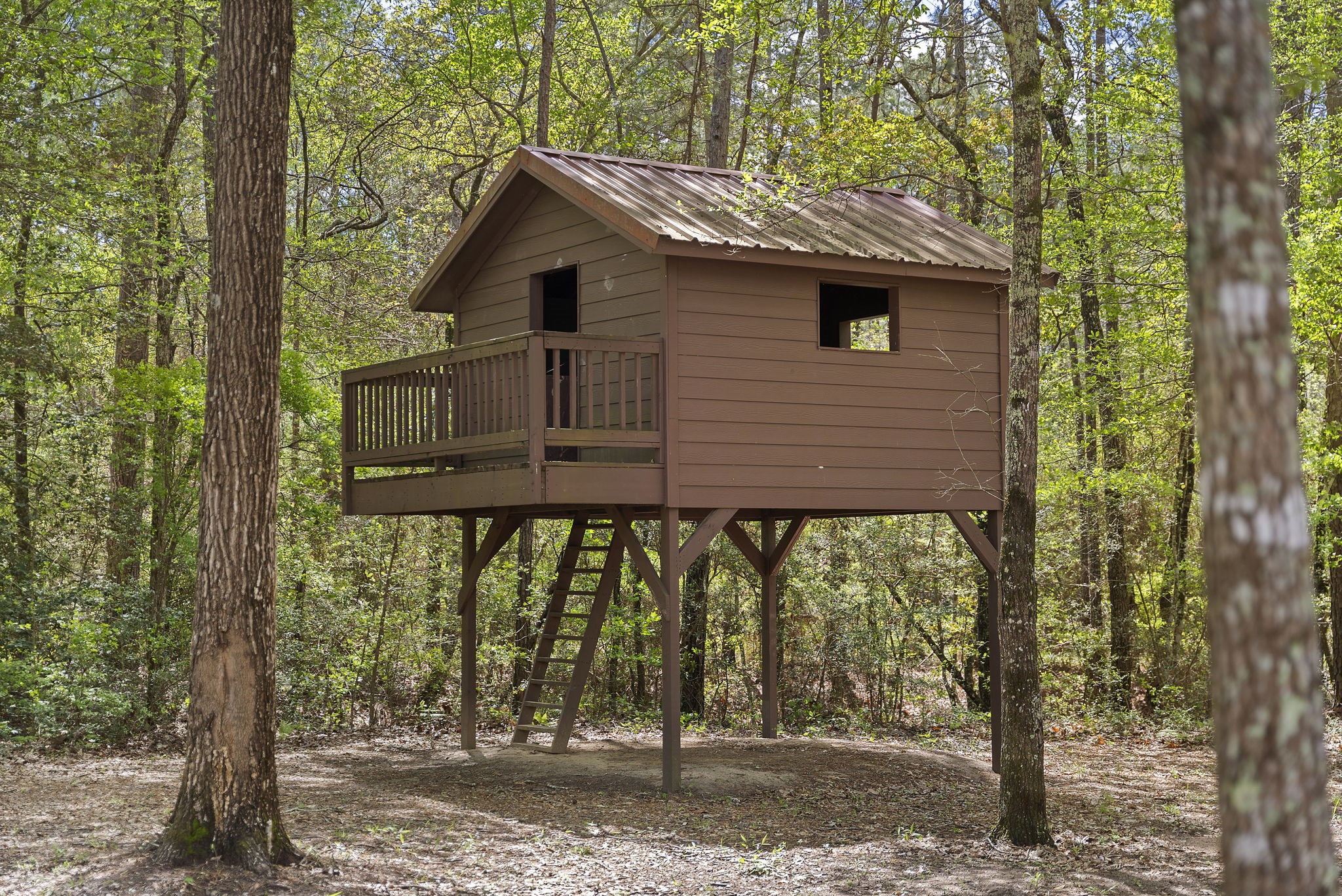 14-15a PROSPERITY Court Huntsville, TX 77340 - Photo 24 of 27 a view of a wooden house next to a yard with large trees
