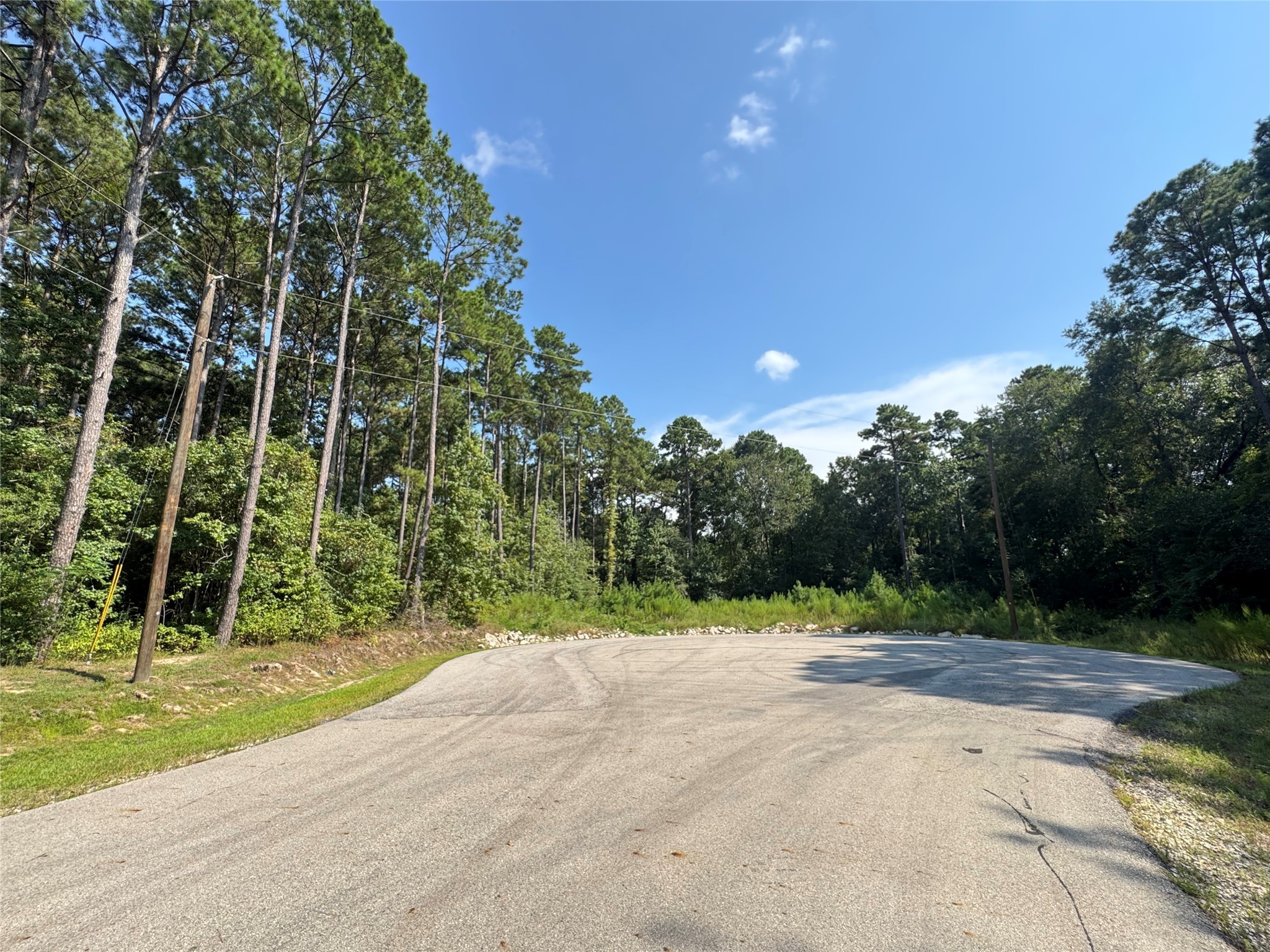 14-15a PROSPERITY Court Huntsville, TX 77340 - Photo 3 of 27 a view of a yard with plants and trees