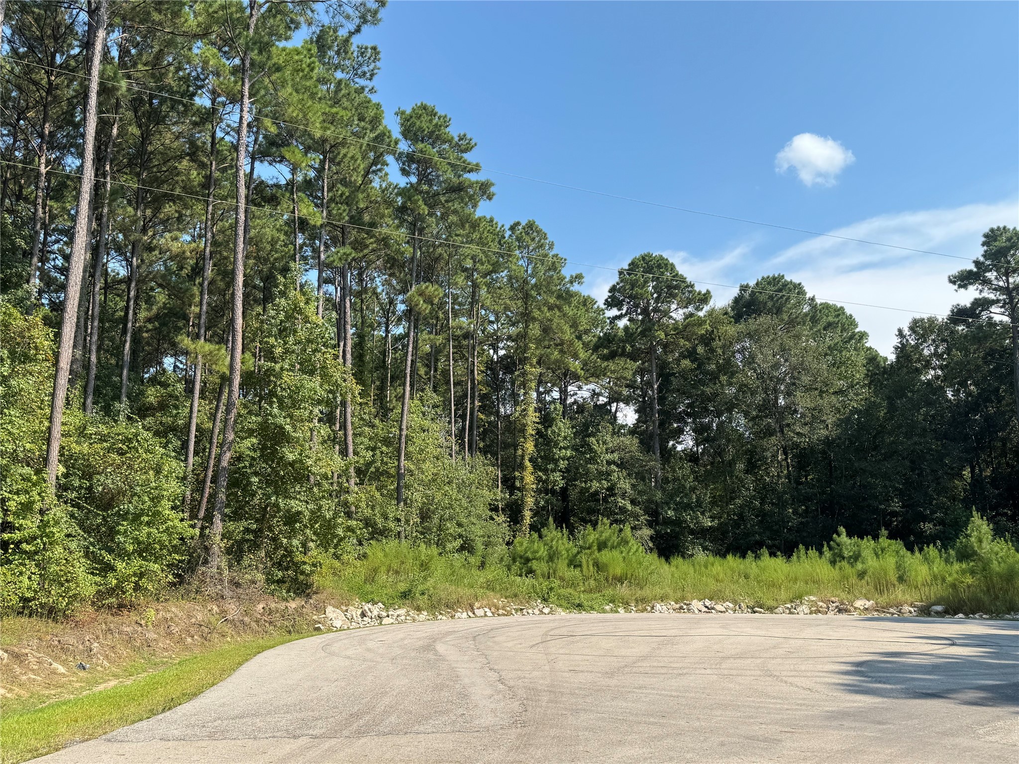 14-15a PROSPERITY Court Huntsville, TX 77340 - Photo 4 of 27 a view of a garden