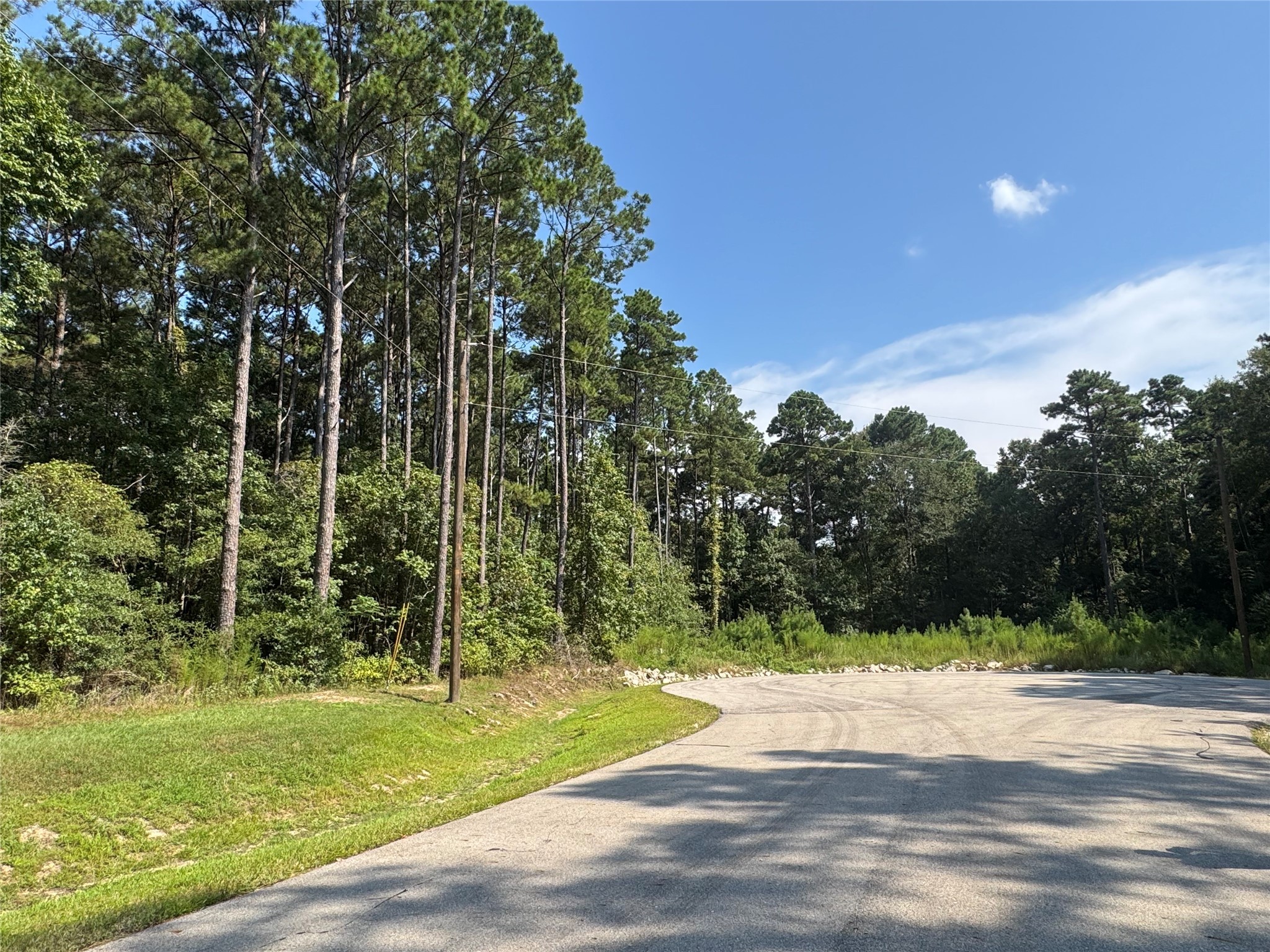 14-15a PROSPERITY Court Huntsville, TX 77340 - Photo 5 of 27 a view of a yard with a tree