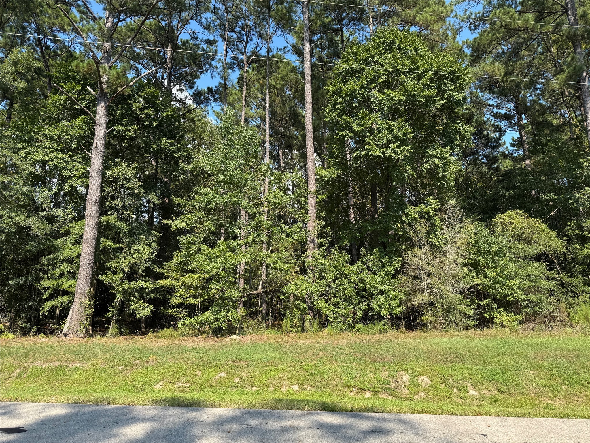 14-15a PROSPERITY Court Huntsville, TX 77340 - Photo 6 of 27 a view of a green yard