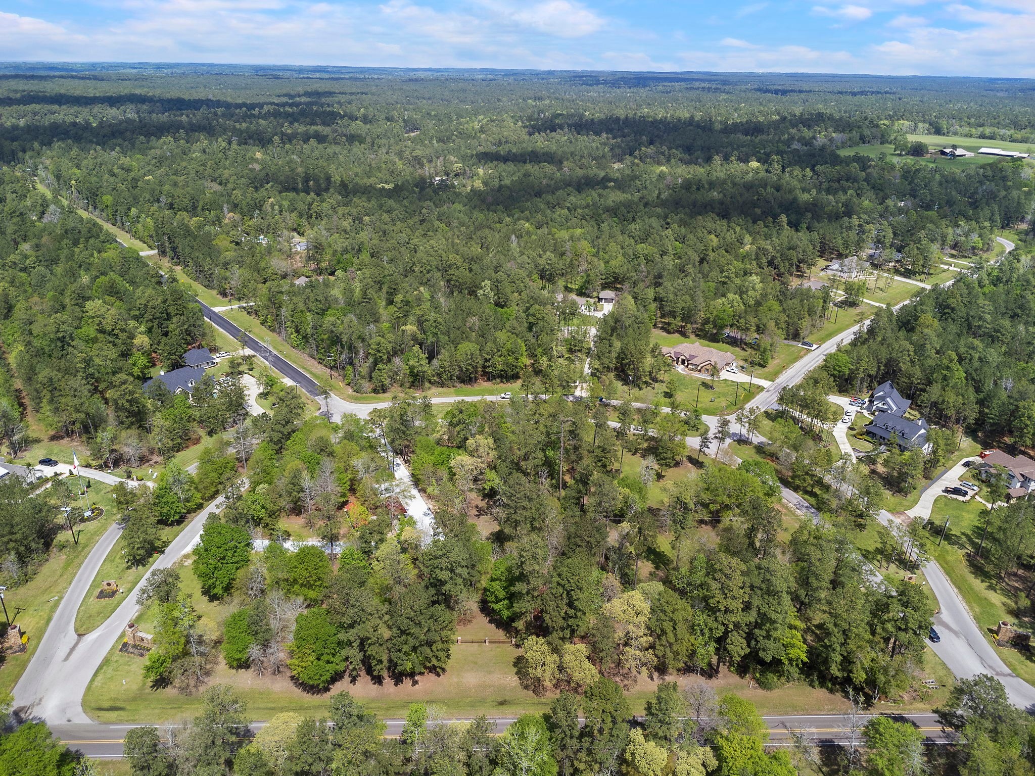 14-15a PROSPERITY Court Huntsville, TX 77340 - Photo 7 of 27 a view of a lush green forest with a lake and trees