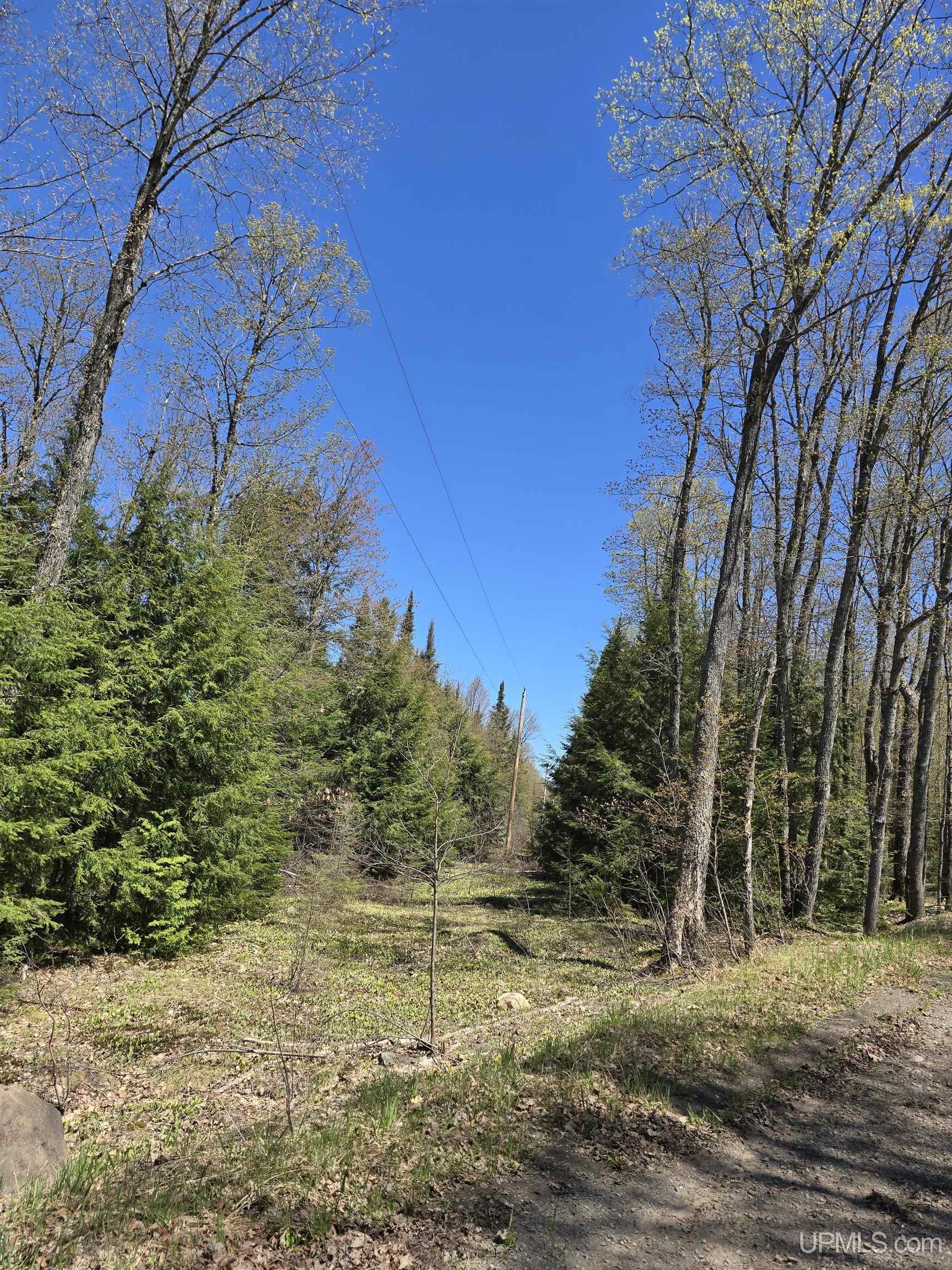 Tbd Murphy Road Covington, MI 49919 - Photo 13 of 57