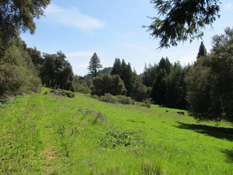 0 Two Two Bar Road Boulder Creek, CA 95006 - Photo 8 of 70 Gallery Image 8