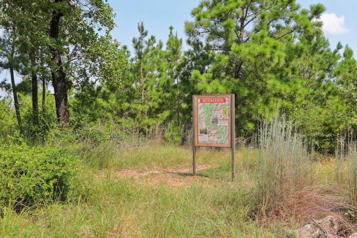 497 Cottle Town Road Smithville, TX 78957 - Photo 12 of 26 Buescher State Park
