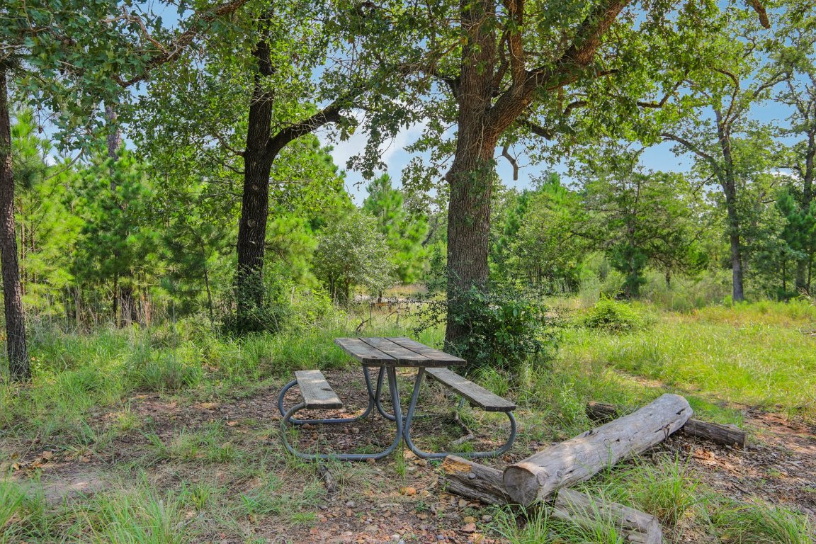 497 Cottle Town Road Smithville, TX 78957 - Photo 9 of 26 Buescher State Park