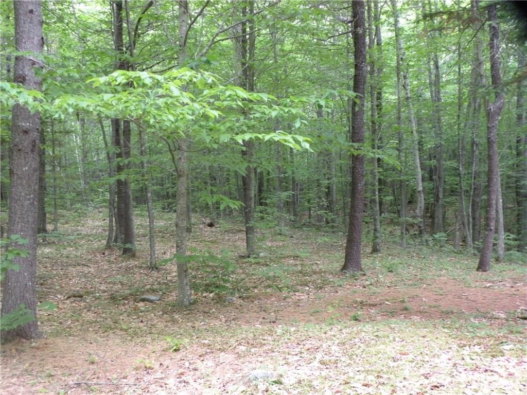 545 Slab City Road Lovell, ME 04051 - Photo 6 of 14 Photo