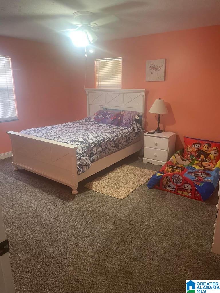 926 Gnatville Road Piedmont, AL 36272 - Photo 9 of 11