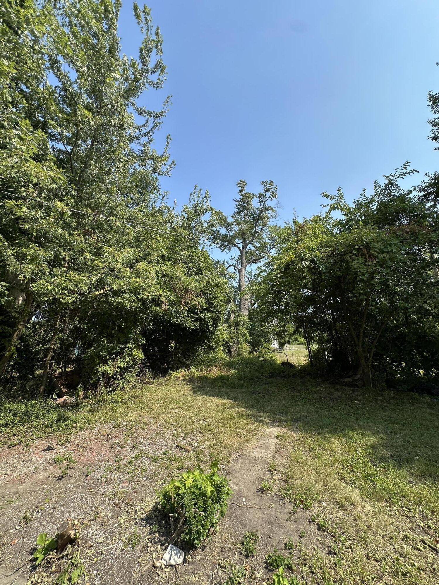 2669 Nebraska Street Detroit, MI 48208 - Photo 31 of 31 IMG_4537