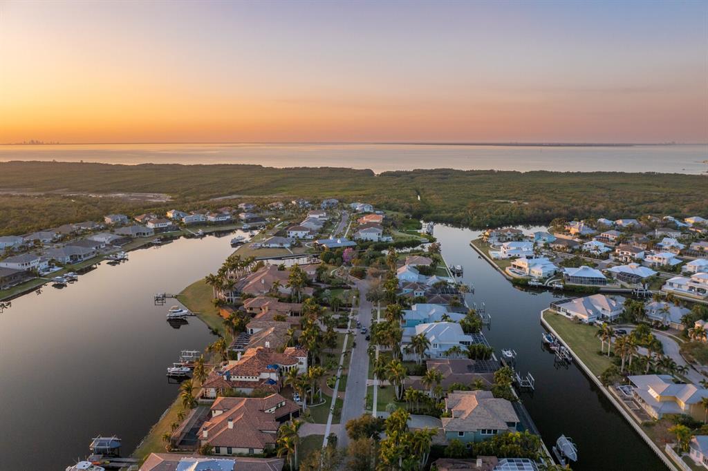 625 Balibay Road Apollo Beach, FL 33572 - Photo 51 of 51 an aerial view of a city with ocean view