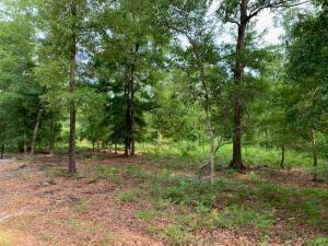 2 Chaplins Landing Road Hollywood, SC 29449 - Photo 1 of 1 2 Chaplins Landing