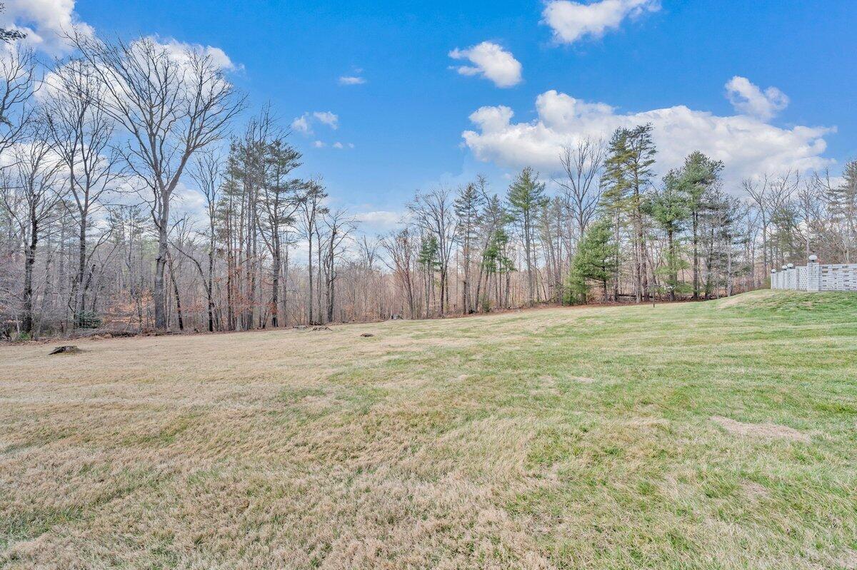 200 Bonbrook Mill Road Rocky Mount, VA 24151 - Photo 61 of 69 MIB03940