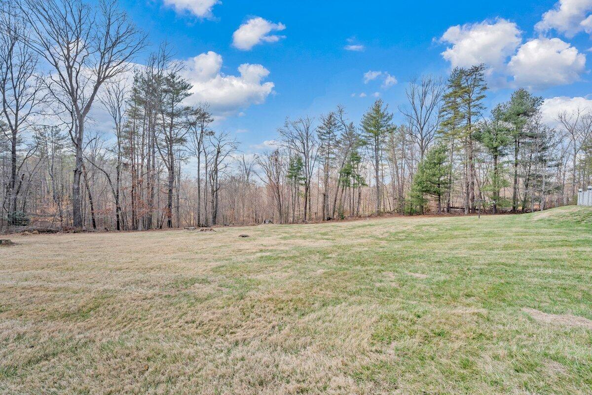200 Bonbrook Mill Road Rocky Mount, VA 24151 - Photo 67 of 74 MIB03943