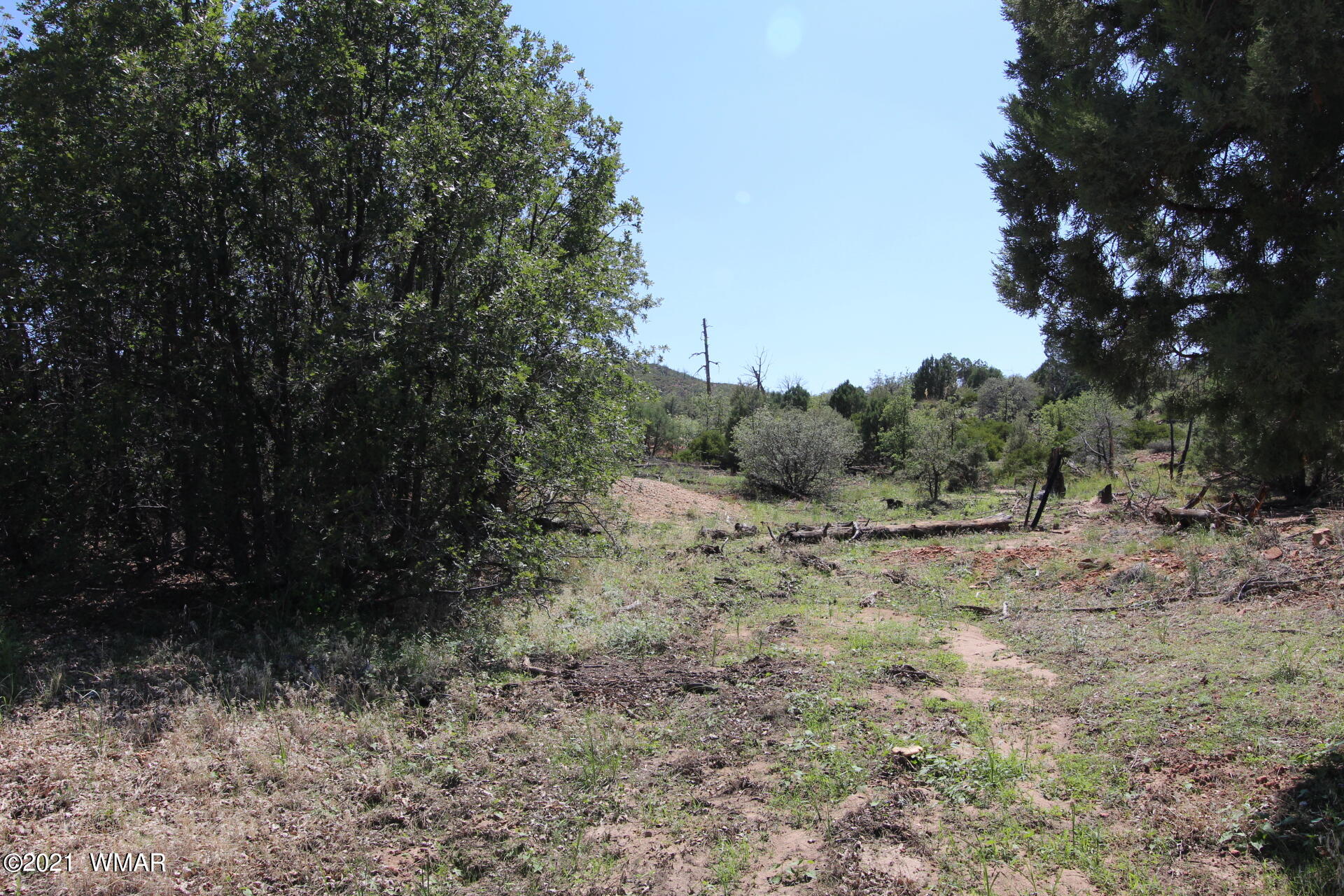 Tbd Timberland Road Show Low, AZ 85901 - Photo 2 of 7