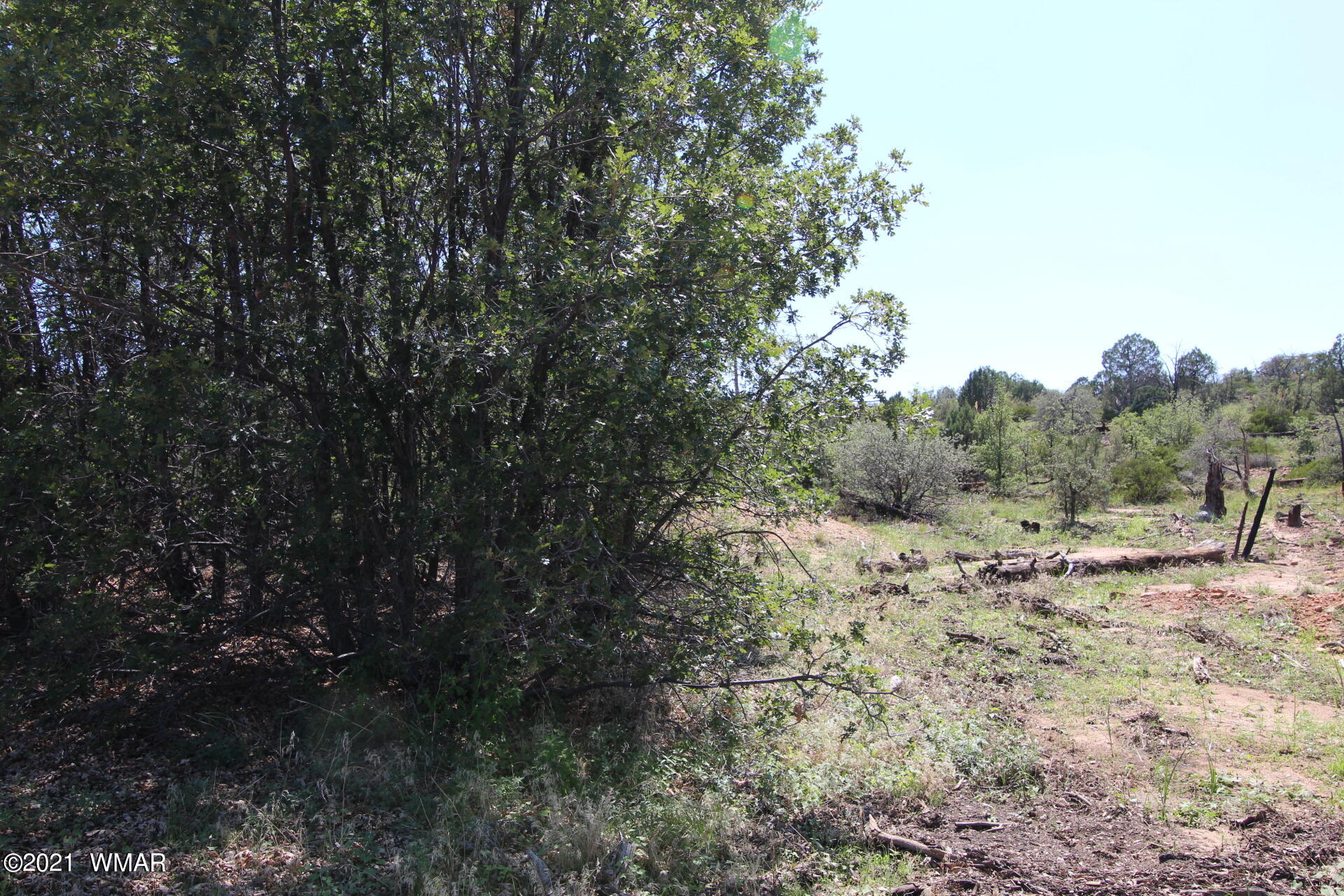 Tbd Timberland Road Show Low, AZ 85901 - Photo 4 of 7