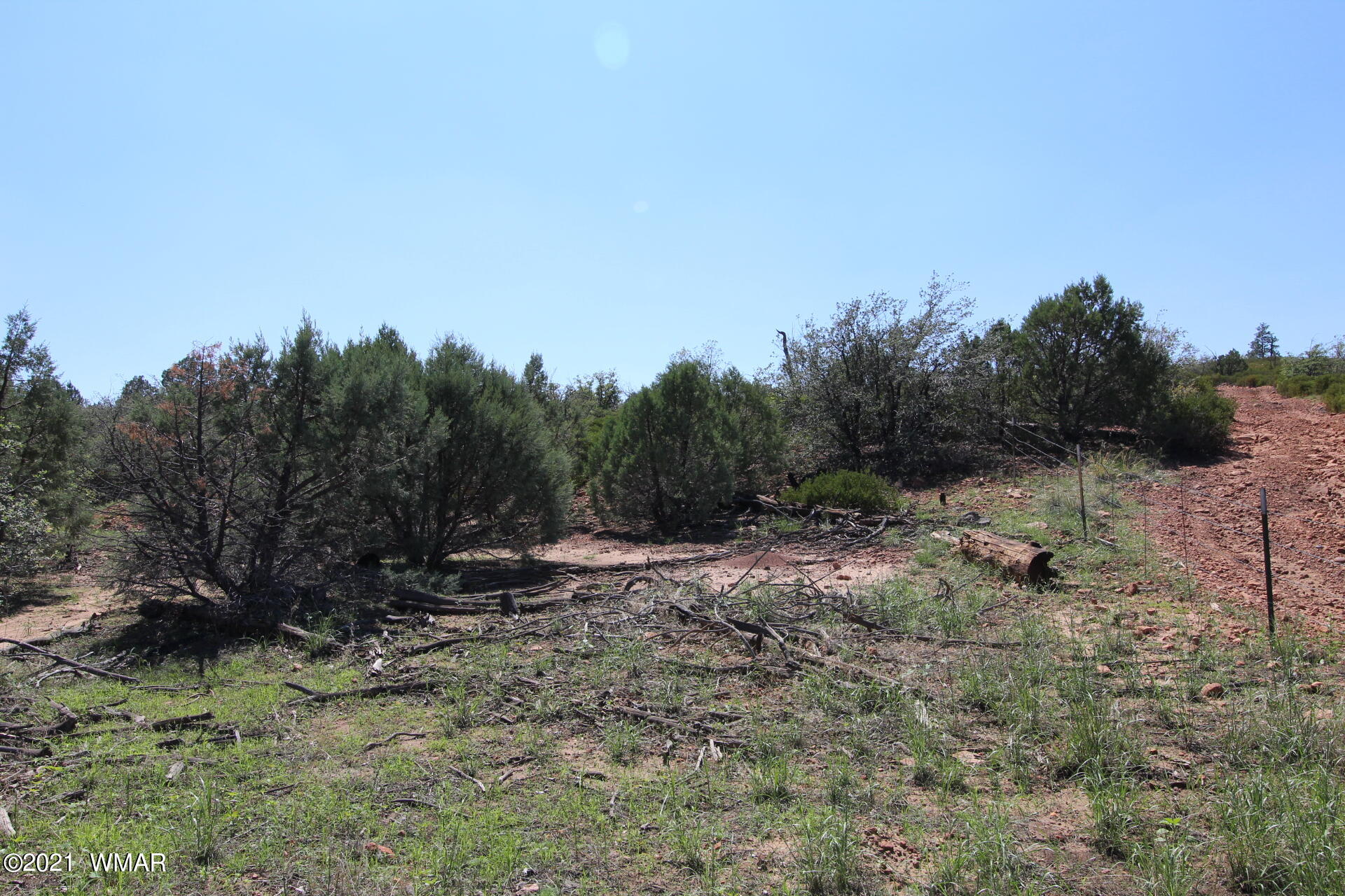 Tbd Timberland Road Show Low, AZ 85901 - Photo 5 of 7