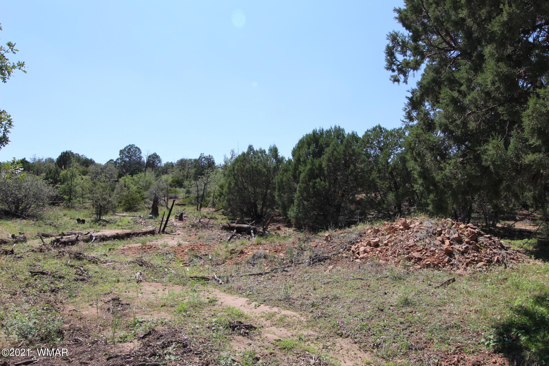 Tbd Timberland Road Show Low, AZ 85901 - Photo 7 of 7