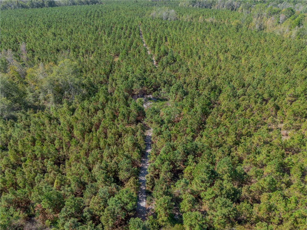 2 Kinnett Road Milan, GA 31060 - Photo 11 of 17