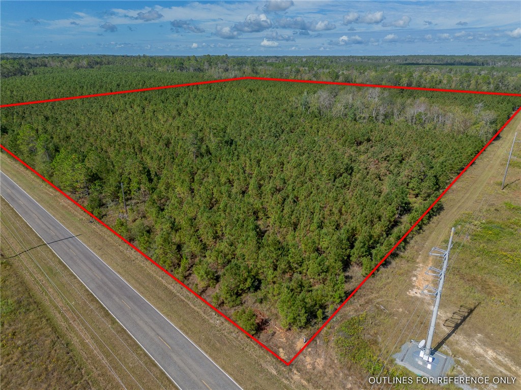 2 Kinnett Road Milan, GA 31060 - Photo 14 of 17