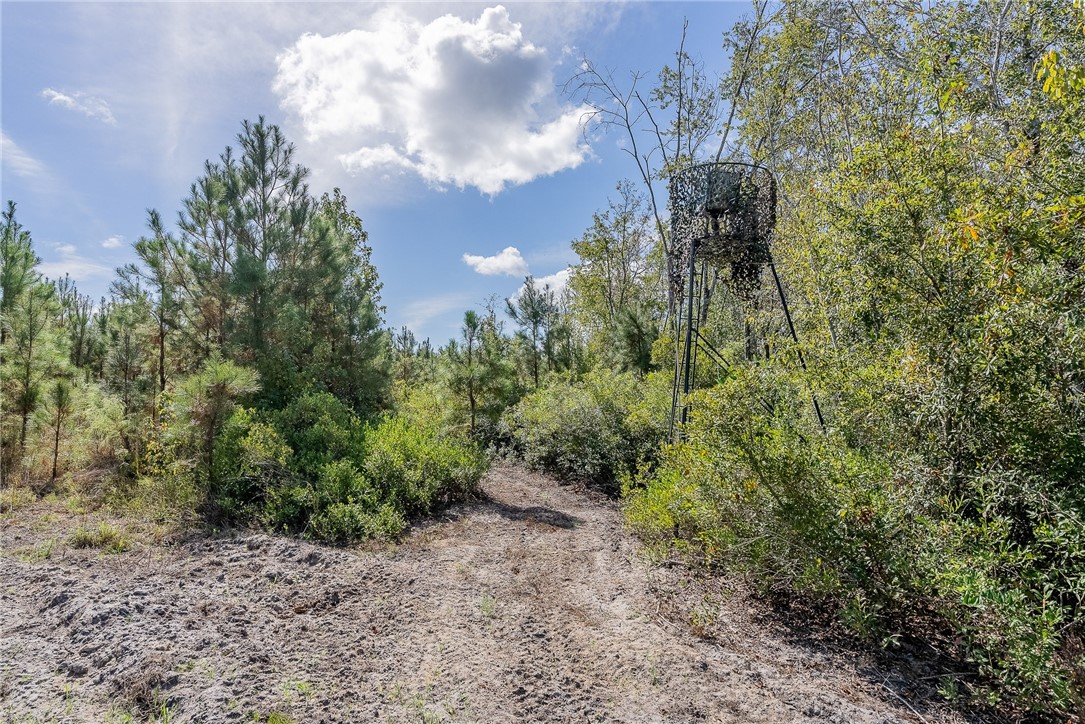 2 Kinnett Road Milan, GA 31060 - Photo 15 of 17