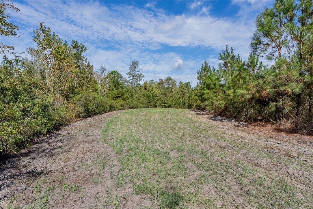 2 Kinnett Road Milan, GA 31060 - Photo 16 of 17