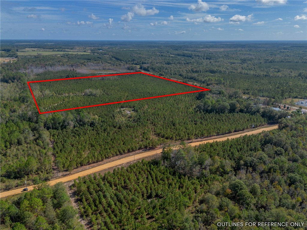 2 Kinnett Road Milan, GA 31060 - Photo 2 of 17