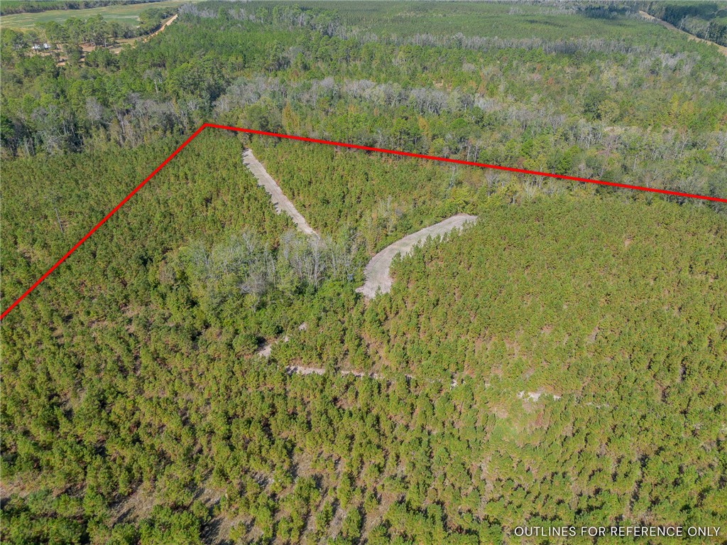 2 Kinnett Road Milan, GA 31060 - Photo 4 of 17