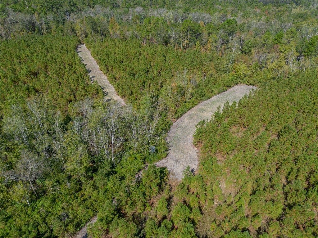 2 Kinnett Road Milan, GA 31060 - Photo 5 of 17