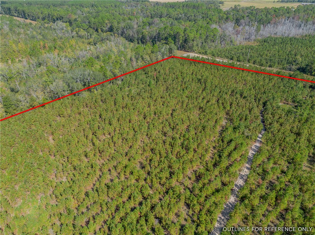 2 Kinnett Road Milan, GA 31060 - Photo 6 of 17