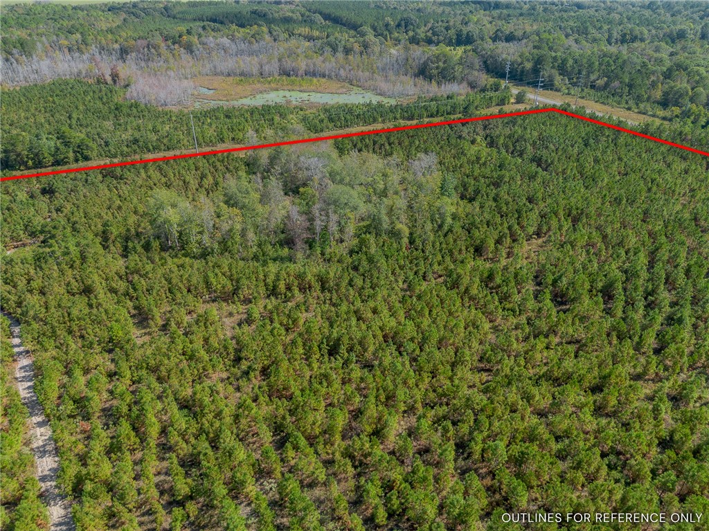 2 Kinnett Road Milan, GA 31060 - Photo 7 of 17