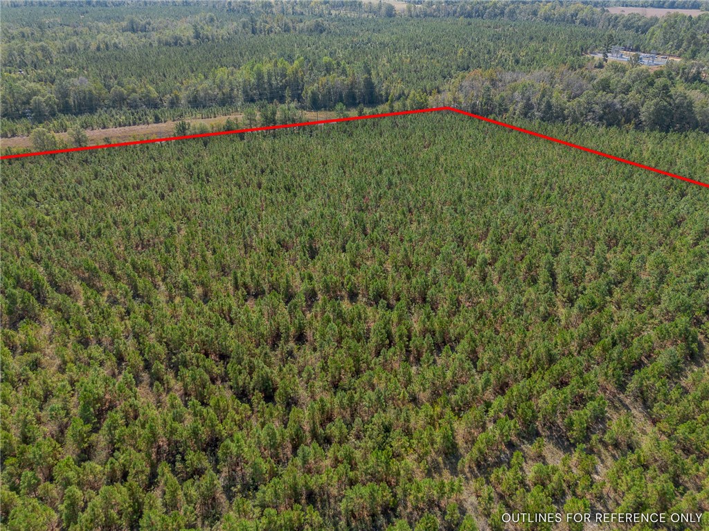 2 Kinnett Road Milan, GA 31060 - Photo 8 of 17