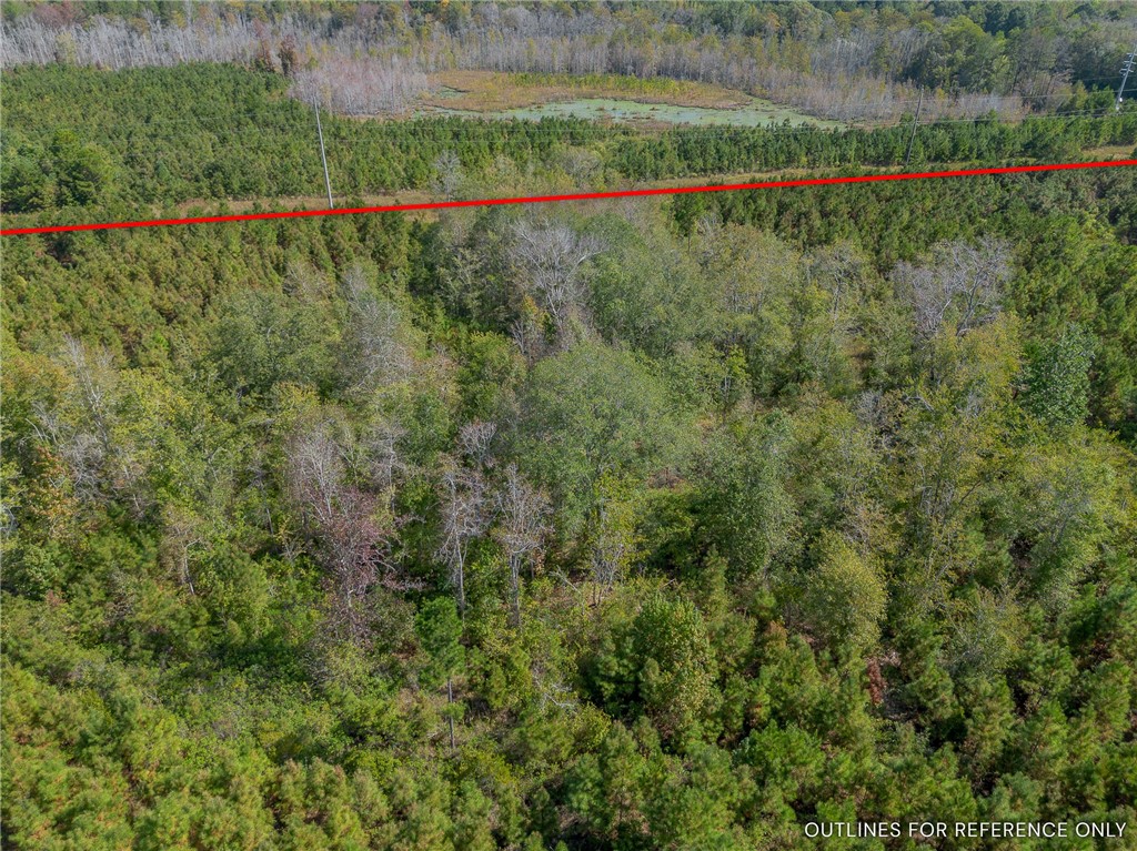 2 Kinnett Road Milan, GA 31060 - Photo 9 of 17