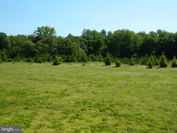 635 Oak Grove Road Swedesboro, NJ 08085 - Photo 22 of 23 View in Back