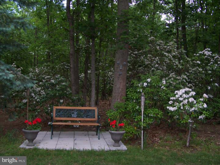986 Lincoln Road Mullica Hill, NJ 08062 - Photo 22 of 24 Exterior Back