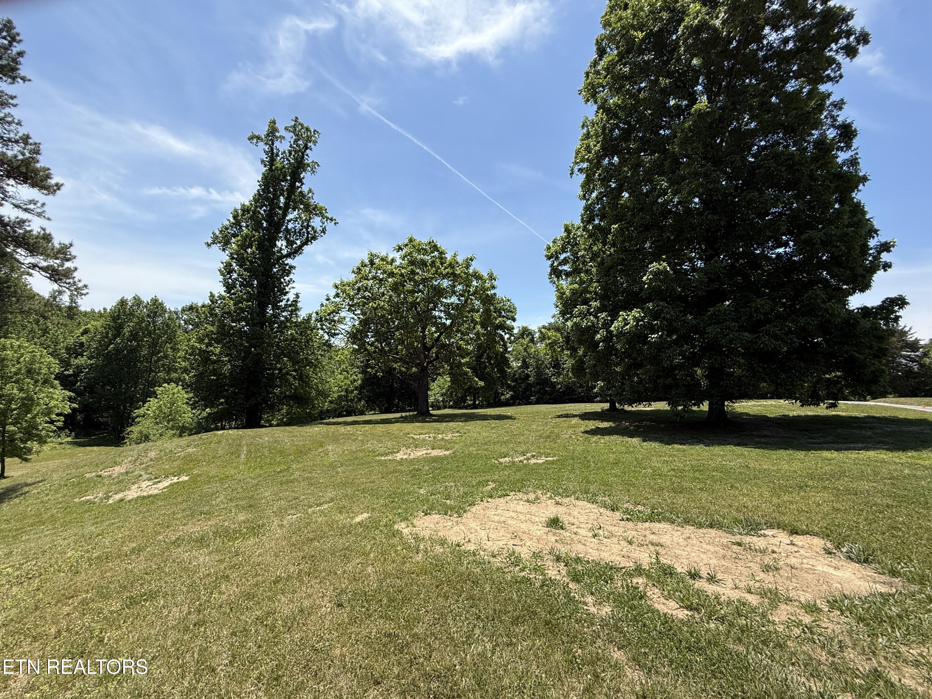 Richland Road Blaine, TN 37709 - Photo 25 of 25 IMG_5470