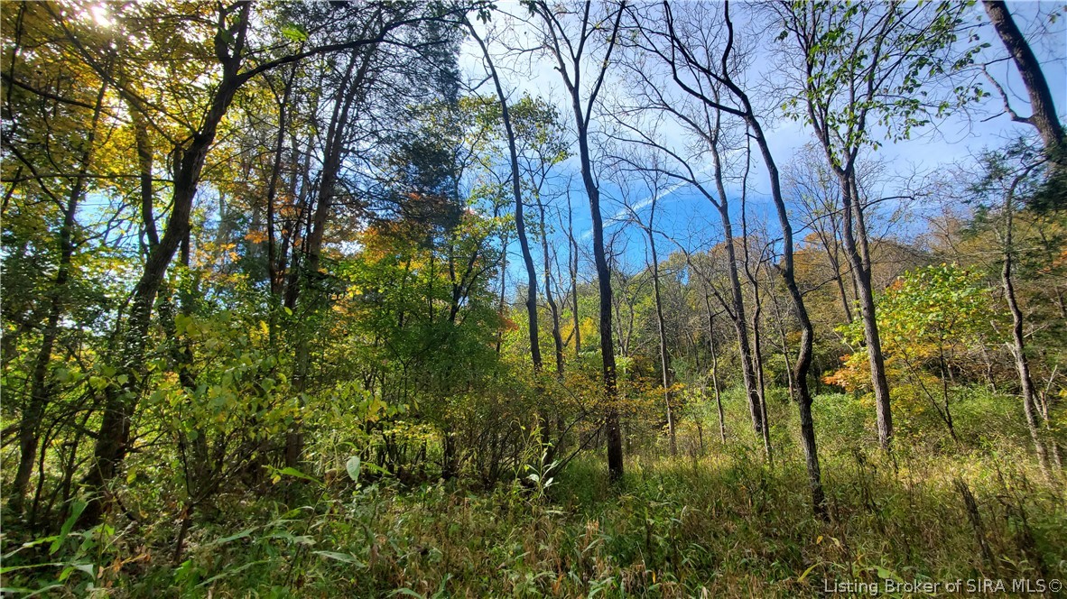 0 Rosewood Road Southeast Elizabeth, IN 47117 - Photo 1 of 24