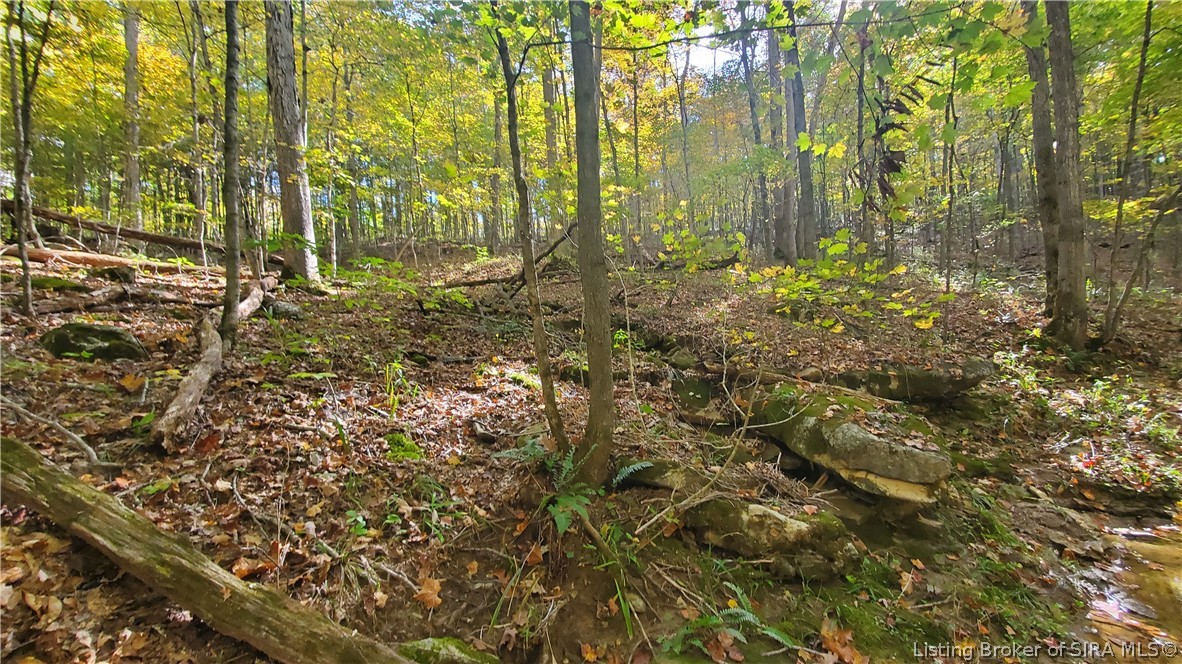 0 Rosewood Road Southeast Elizabeth, IN 47117 - Photo 11 of 24