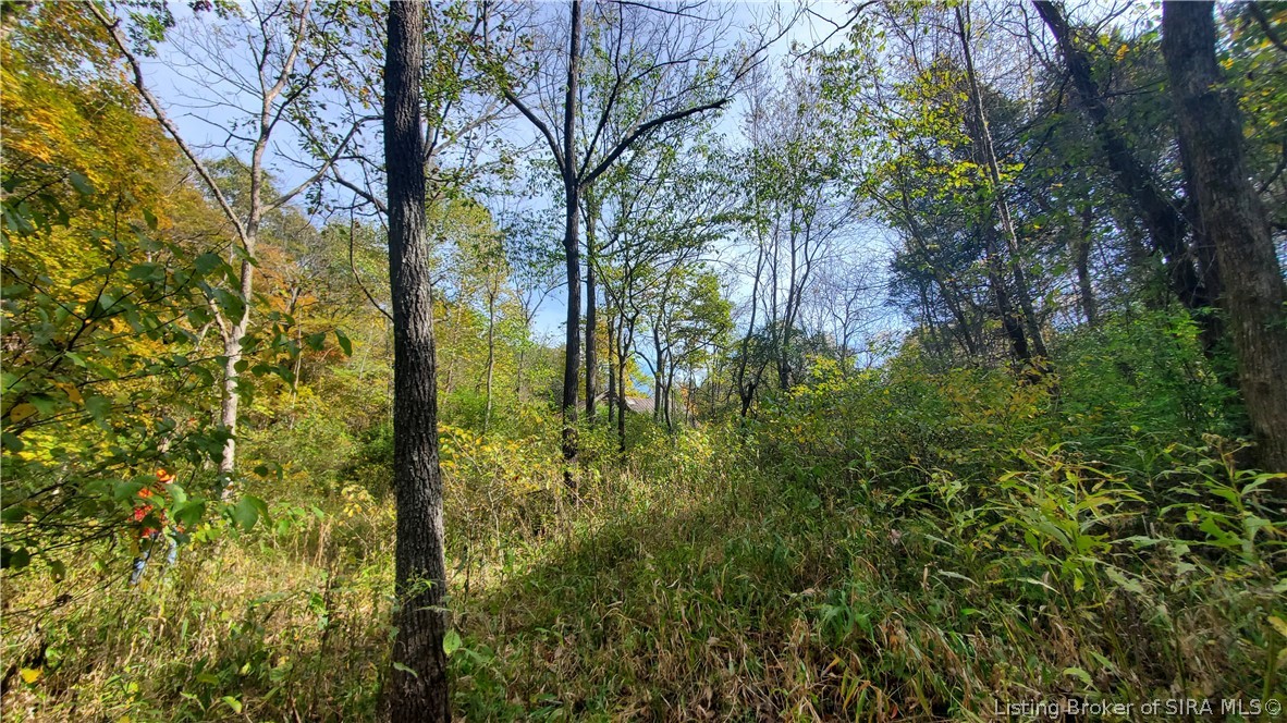 0 Rosewood Road Southeast Elizabeth, IN 47117 - Photo 13 of 24