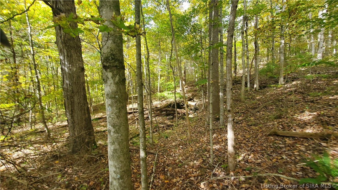 0 Rosewood Road Southeast Elizabeth, IN 47117 - Photo 14 of 24