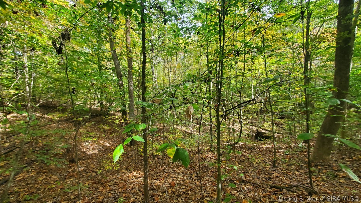 0 Rosewood Road Southeast Elizabeth, IN 47117 - Photo 16 of 24