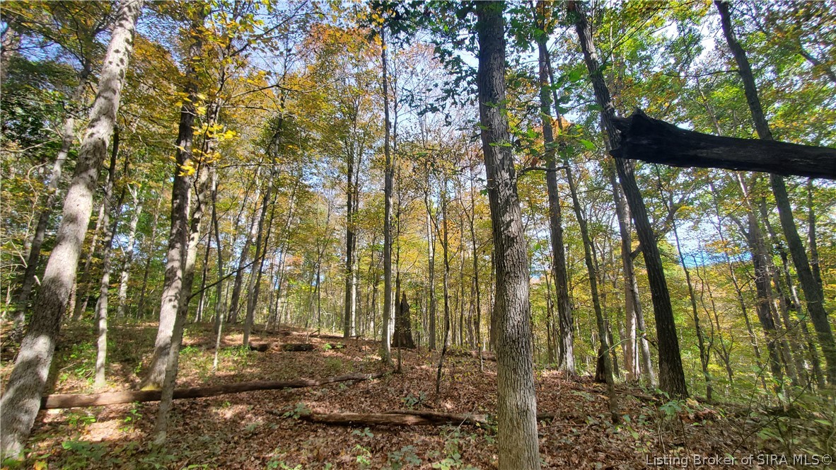 0 Rosewood Road Southeast Elizabeth, IN 47117 - Photo 18 of 24