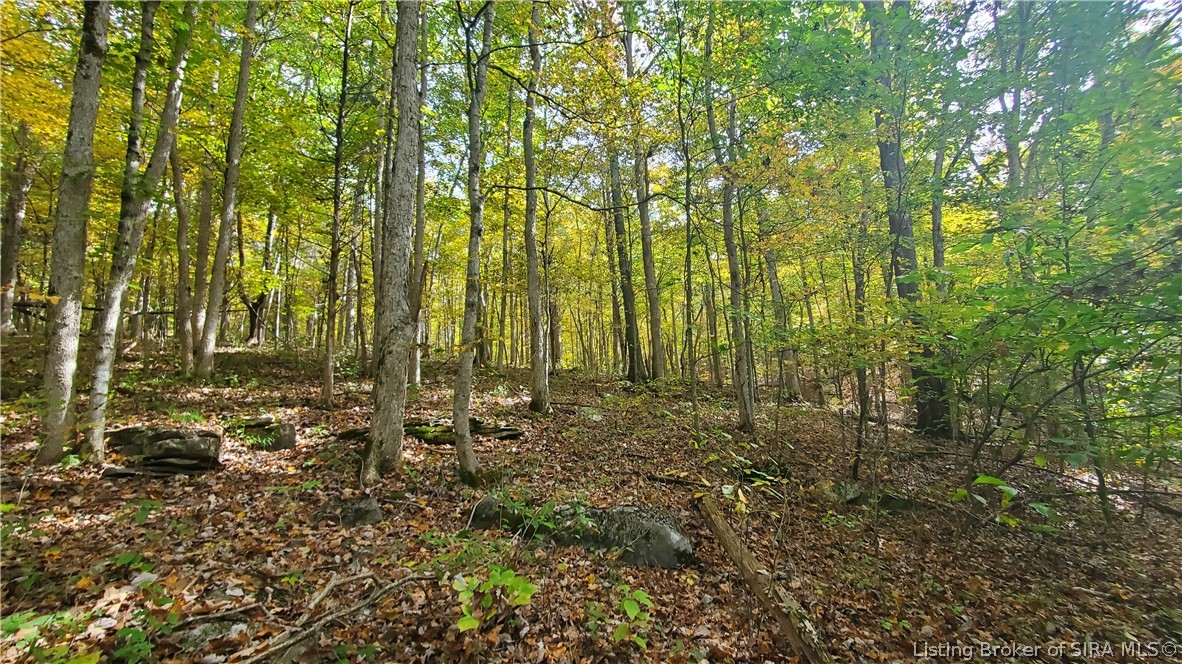 0 Rosewood Road Southeast Elizabeth, IN 47117 - Photo 21 of 24