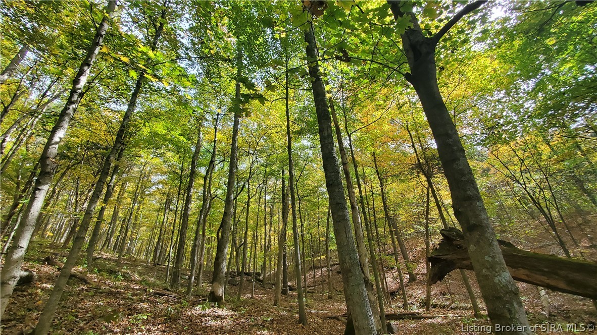 0 Rosewood Road Southeast Elizabeth, IN 47117 - Photo 22 of 24