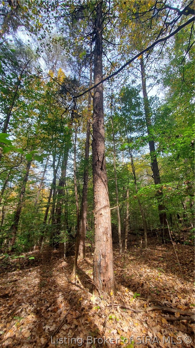 0 Rosewood Road Southeast Elizabeth, IN 47117 - Photo 24 of 24
