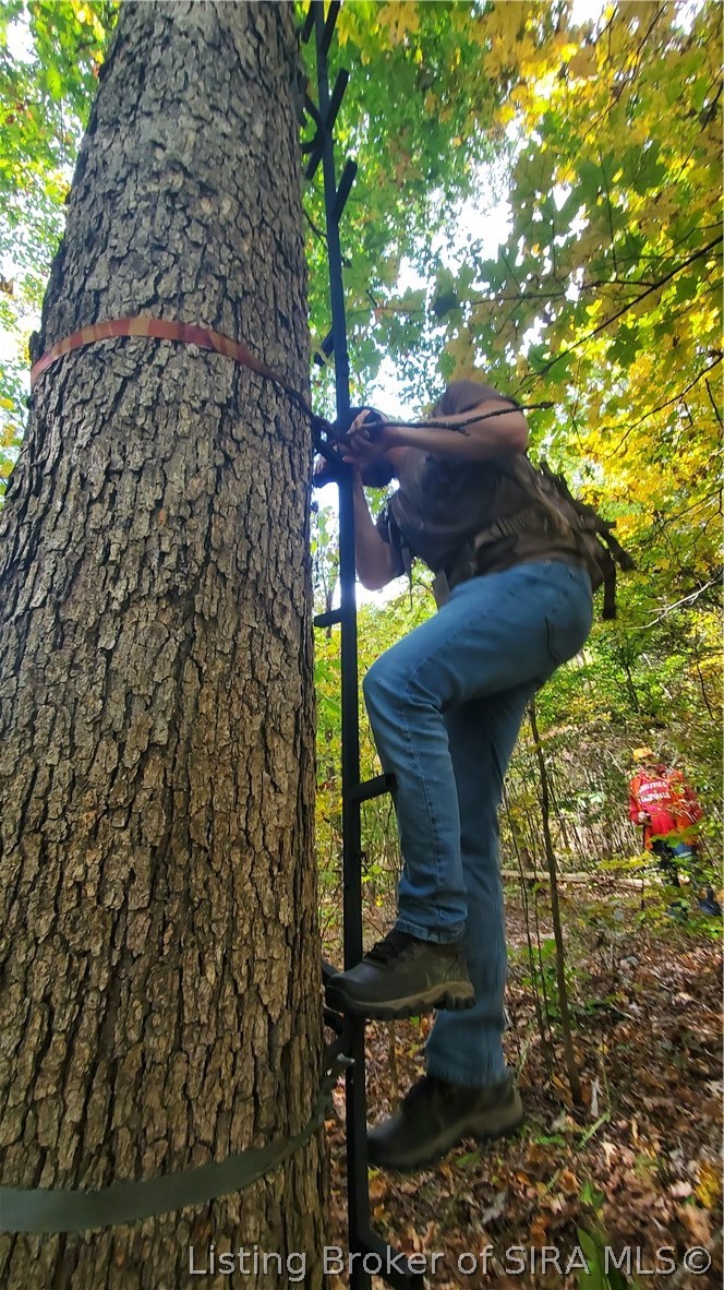 0 Rosewood Road Southeast Elizabeth, IN 47117 - Photo 6 of 24